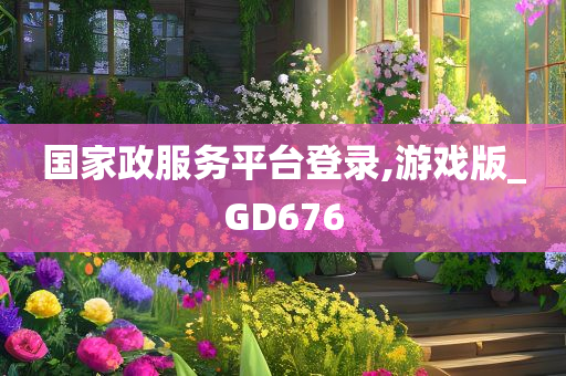 国家政服务平台登录,游戏版_GD676