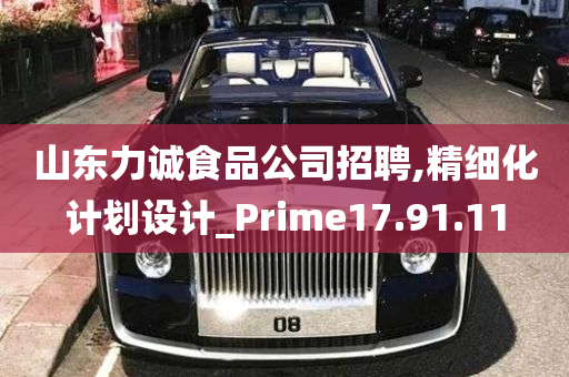 山东力诚食品公司招聘,精细化计划设计_Prime17.91.11