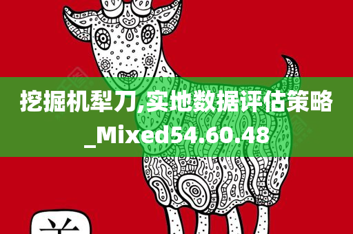 挖掘机犁刀,实地数据评估策略_Mixed54.60.48