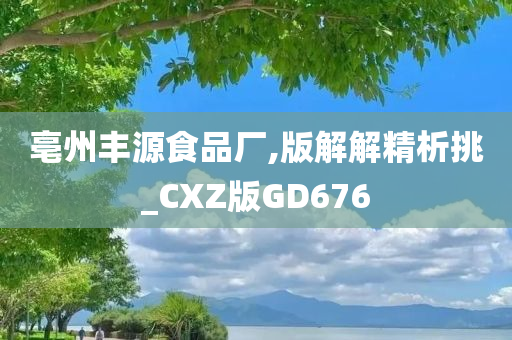 亳州丰源食品厂,版解解精析挑_CXZ版GD676