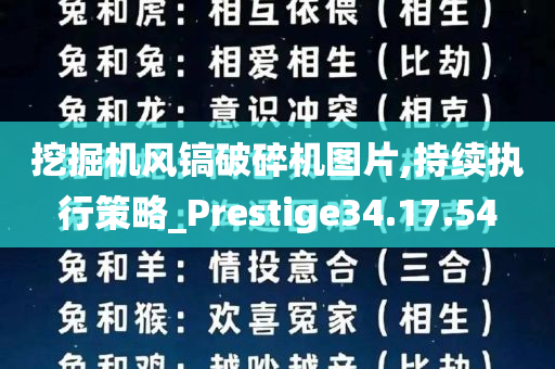 挖掘机风镐破碎机图片,持续执行策略_Prestige34.17.54