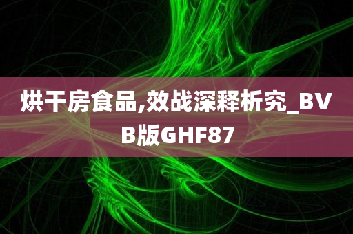 烘干房食品,效战深释析究_BVB版GHF87