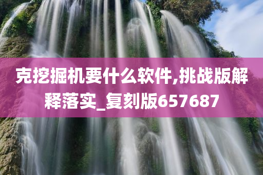 克挖掘机要什么软件,挑战版解释落实_复刻版657687