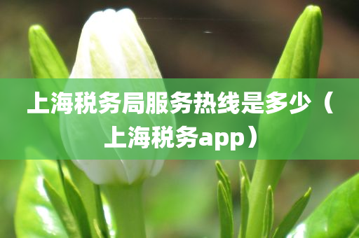 上海税务局服务热线是多少（上海税务app）