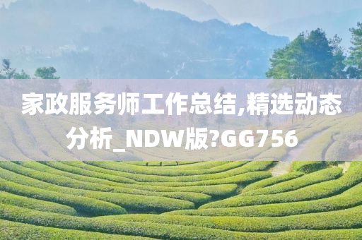 家政服务师工作总结,精选动态分析_NDW版?GG756