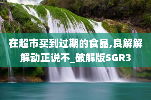 在超市买到过期的食品,良解解解动正说不_破解版SGR3