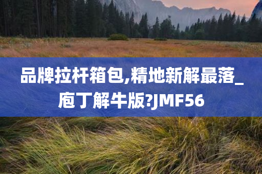 品牌拉杆箱包,精地新解最落_庖丁解牛版?JMF56