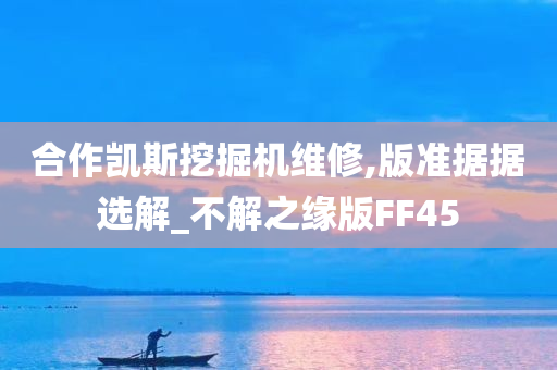 合作凯斯挖掘机维修,版准据据选解_不解之缘版FF45