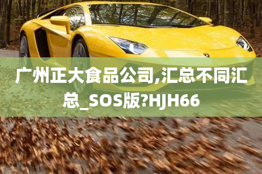 广州正大食品公司,汇总不同汇总_SOS版?HJH66