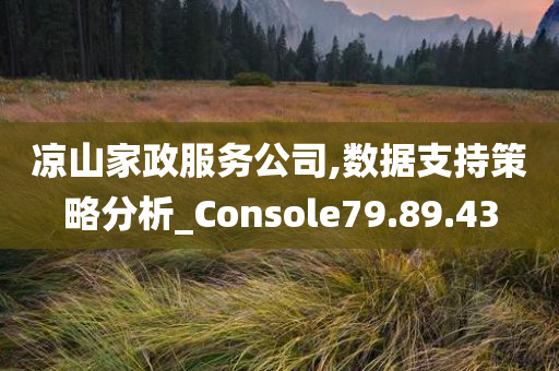 凉山家政服务公司,数据支持策略分析_Console79.89.43