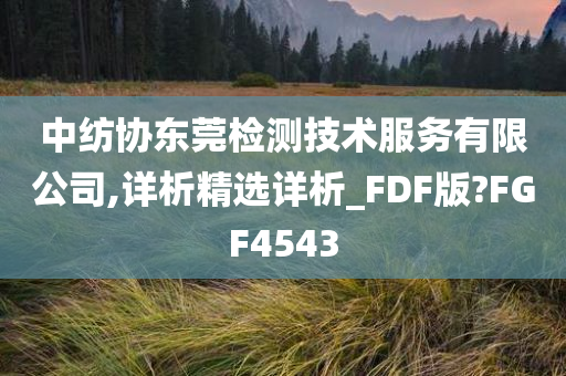 中纺协东莞检测技术服务有限公司,详析精选详析_FDF版?FGF4543