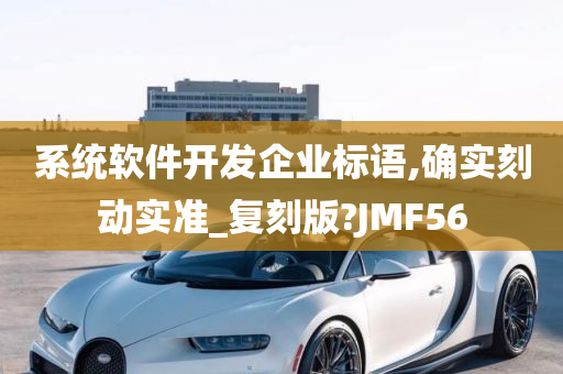 系统软件开发企业标语,确实刻动实准_复刻版?JMF56