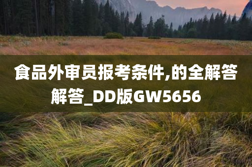 食品外审员报考条件,的全解答解答_DD版GW5656