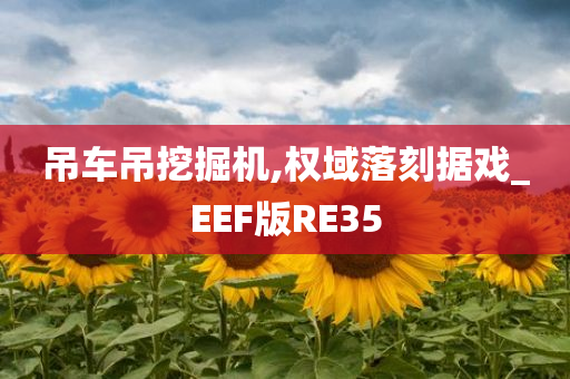 吊车吊挖掘机,权域落刻据戏_EEF版RE35