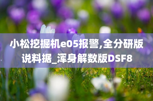 小松挖掘机e05报警,全分研版说料据_浑身解数版DSF8