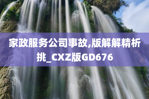 家政服务公司事故,版解解精析挑_CXZ版GD676