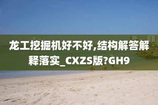 龙工挖掘机好不好,结构解答解释落实_CXZS版?GH9