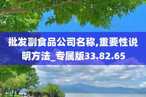 批发副食品公司名称,重要性说明方法_专属版33.82.65