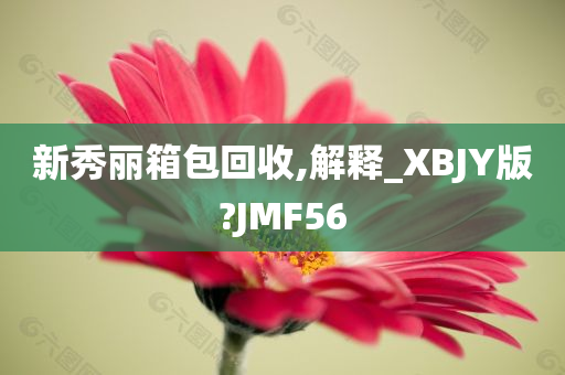 新秀丽箱包回收,解释_XBJY版?JMF56