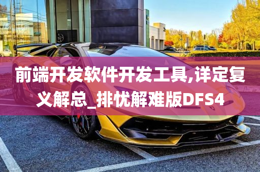 前端开发软件开发工具,详定复义解总_排忧解难版DFS4