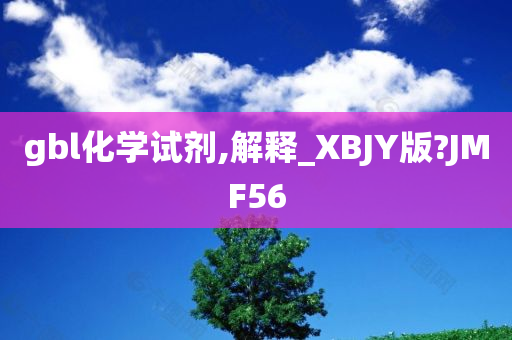 gbl化学试剂,解释_XBJY版?JMF56