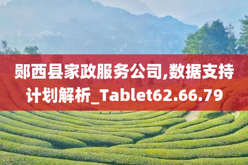 郧西县家政服务公司,数据支持计划解析_Tablet62.66.79