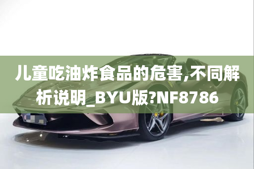 儿童吃油炸食品的危害,不同解析说明_BYU版?NF8786