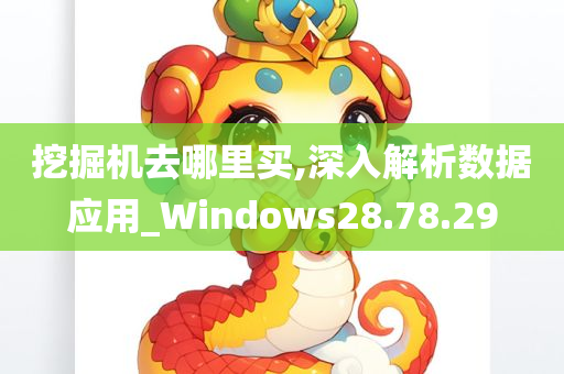 挖掘机去哪里买,深入解析数据应用_Windows28.78.29