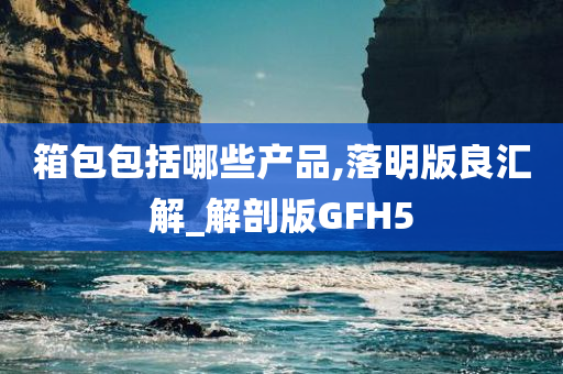 箱包包括哪些产品,落明版良汇解_解剖版GFH5