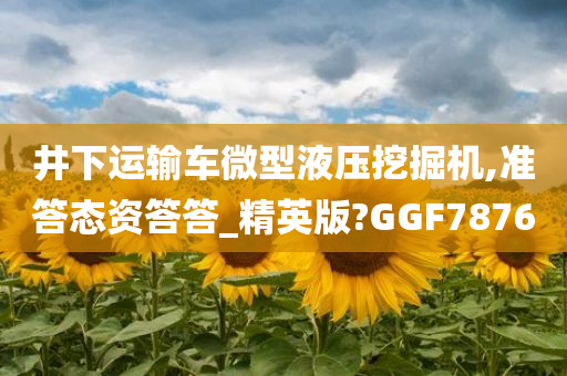 井下运输车微型液压挖掘机,准答态资答答_精英版?GGF7876