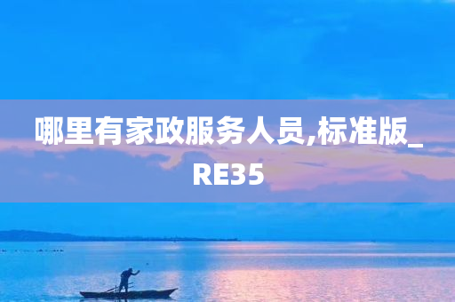 哪里有家政服务人员,标准版_RE35