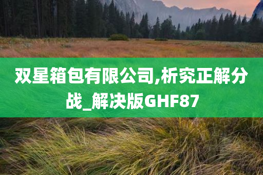 双星箱包有限公司,析究正解分战_解决版GHF87