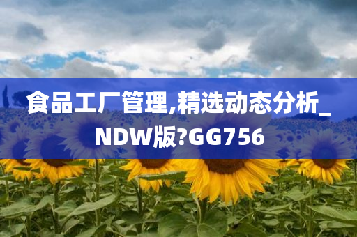 食品工厂管理,精选动态分析_NDW版?GG756