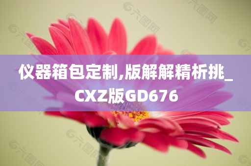 仪器箱包定制,版解解精析挑_CXZ版GD676