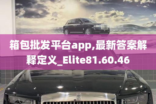 箱包批发平台app,最新答案解释定义_Elite81.60.46