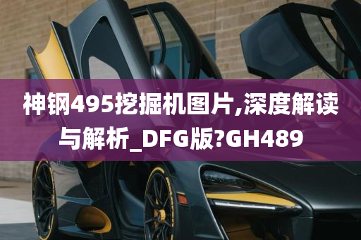 神钢495挖掘机图片,深度解读与解析_DFG版?GH489