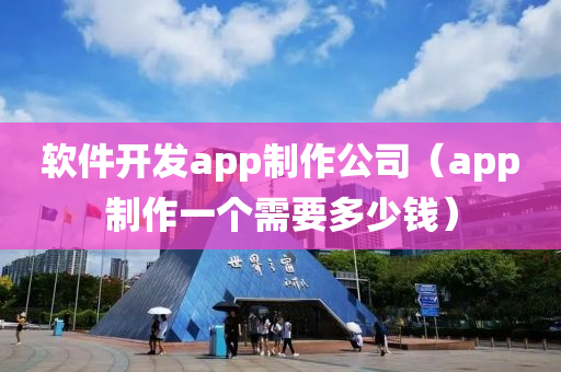 软件开发app制作公司（app制作一个需要多少钱）