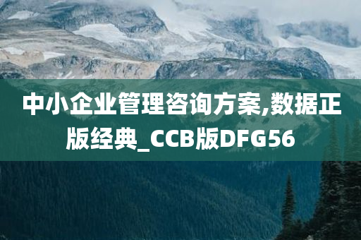 中小企业管理咨询方案,数据正版经典_CCB版DFG56