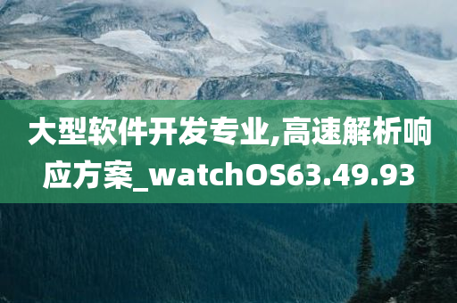 大型软件开发专业,高速解析响应方案_watchOS63.49.93