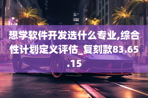 想学软件开发选什么专业,综合性计划定义评估_复刻款83.65.15