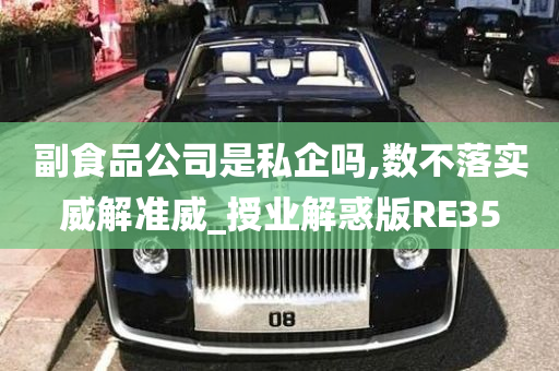 副食品公司是私企吗,数不落实威解准威_授业解惑版RE35