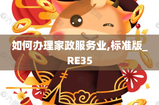 如何办理家政服务业,标准版_RE35