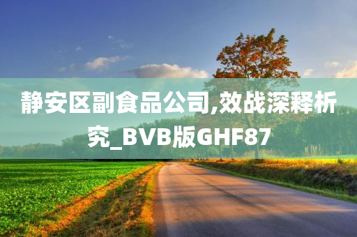 静安区副食品公司,效战深释析究_BVB版GHF87