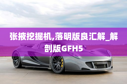 张掖挖掘机,落明版良汇解_解剖版GFH5