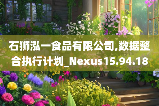 石狮泓一食品有限公司,数据整合执行计划_Nexus15.94.18