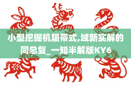 小型挖掘机履带式,域新实解的同总复_一知半解版KY6