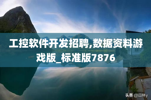 工控软件开发招聘,数据资料游戏版_标准版7876