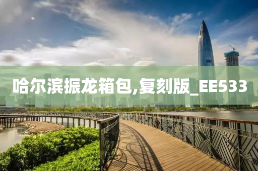 哈尔滨振龙箱包,复刻版_EE533