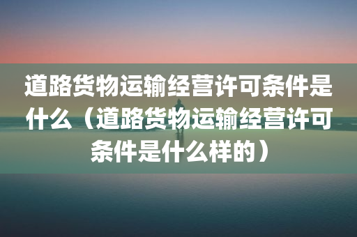 道路货物运输经营许可条件是什么（道路货物运输经营许可条件是什么样的）