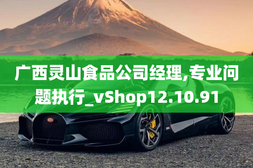 广西灵山食品公司经理,专业问题执行_vShop12.10.91